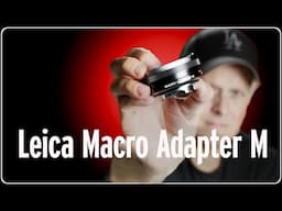 I Finally Went MACRO! – The Leica Macro Adapter M Turns Any M Lens Into a Macro BEAST