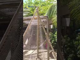 Playa Encuentro Cabarete Updates 2025