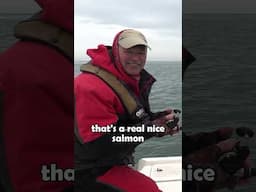 Salmon Catch!!