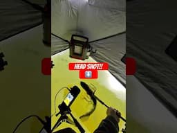 HEAD Shot with a SPEAR! #fishing #icefishing #spearfishing #shorts #pikefishing #michigan