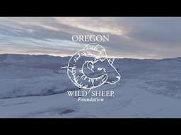 Oregon Wild Sheep Foundation