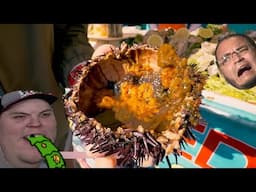 There is no way this is tasty | Bulldog Reacts to Best Ever Food Review Show