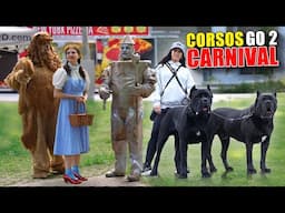 Child Hits My Cane Corso at Carnival