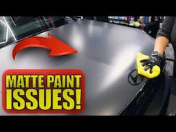 The TRUTH About Matte Paint Finishes