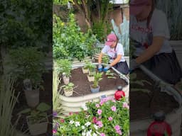 Refresh your old soil and give your garden a boost!