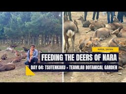 Feeding Deers in Nara, Tsutenkaku tower and Teamlab's Botanical Garden (Osaka, Japan - Day 04)
