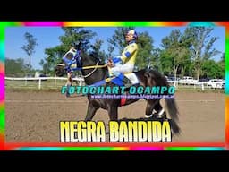 NEGRA BANDIDA   San Bernardo   Chaco 27 04 2025