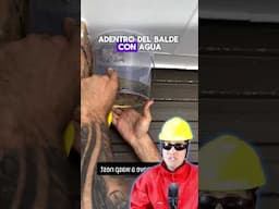 Como sacar panal de abeja de tu casa!