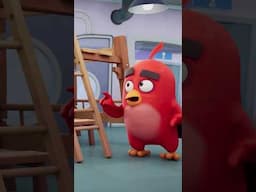 Who's Best at DIY? Red vs Hatchlings