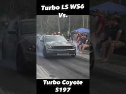 Who do you think won? Turbo WS6 or Turbo Coyote?