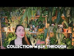 Houseplant collection walk through🌿 My plants are struggling and that's ok 🤷‍♀️