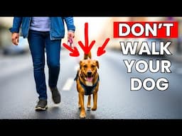 Stop Walking Your Reactive Dog (Do This Instead!)