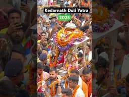 Kedarnath Doli yatra 2025 | Kedarnath yatra 2025 | Kedarnath dham | Kedarnath Shorts | Mahadev |