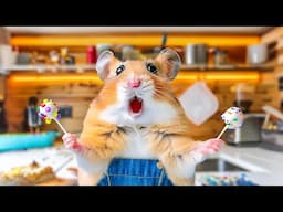 Hamster Escape the Chaos Candy Sweet  Maze | Hamster Maze