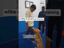 मालिक से करवाई Dog training 🐶 #fyp #shortfeed #dogtraining