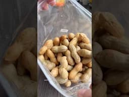 So peanuts are basically just green beans? Iconic 🥜