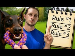 Play Smarter with Your Dog: 3 Rules That Work