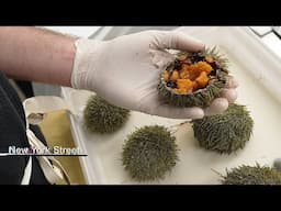 Uni Shucking Class: Master the Art of Sea Urchin Prep in East Village NYC 2025
