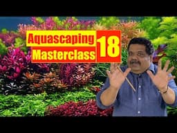 Indica Soil 30 Day Honest Review 🌱 Best Aquarium Substrate in India? | Mayur Dev Aquascaper 4K