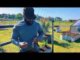 BEING DEBT FREE TO LIVE A SIMPLE LIFE