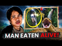 Swallowed Whole: Akbar Salubiro's Final Moments in a Snake Attack