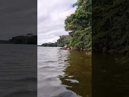 Me perdi na trilha e tive que ligar pro bombeiro parte 1