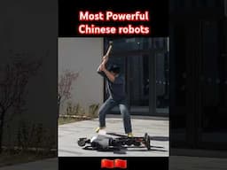Unbailable Strongest anti hit ability Chinese robots