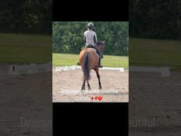 Lissavorra Quality aka B Dressage Practice | BROMONT CCI 4 star