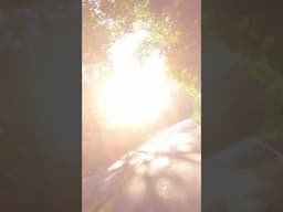 POV Raw Sounds Indian Scout RC Components Exhaust #shorts