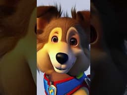 My Dog knows PRESENTATION! Woof! e629-3