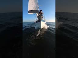 Great to be back sailing again on SAFAR #sailing #sailor #wales #travel