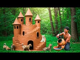 I Built a Clay Castle for Rescue Puppies – Their Reactions Are Priceless!