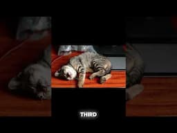 Transformative Tips for Better Sleep