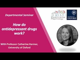 How do antidepressant drugs work?