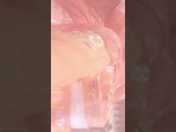 Ganga Darshan har ki paudi