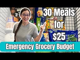 30 Meals for $25 | Cheap and EASY Dinners |Emergency Grocery Budget