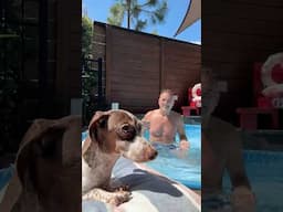 PUPPY POOL is open