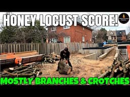 HONEY LOCUST - THEY TOOK THE GOOD ROUNDS THOUGH! #FIREWOOD