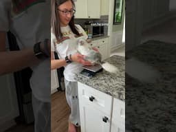 Which Chinchilla Weighs the Most?! 💪 #chinchilla #shorts #pets #petcare #chinpals