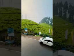 দার্জিলিং এ বরফ নাকি শিলাবৃষ্টি? 😱😱 এ এক দারুণ চমক… না দেখলে বিশ্বাস হবে না!