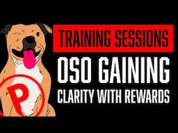 Training Session with Oso – From Treats to Tug & a Whole Lotta Personality 😅