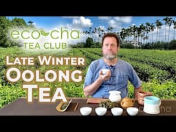 Eco-Cha Tea Club: 112 - Late Winter Oolong Tea | Eco-Cha Teas