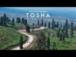 This Place Can’t Be Real- Tosha Maidan Doodhpathri | Ep-06 Spring Kashmir Ride |