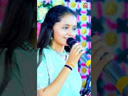 સાયબો મારો ગુલાબનો છોડ | Deval Gadhvi | Mota Bhadiya | Mv Studio #shorts #short