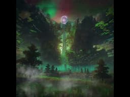 Magic forest ✨️