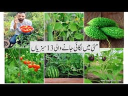 How to Grow 13 vegetables in May at home