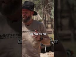 PICKING a TREE TO WINCH OFF