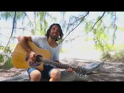 Anıl Altınöz  - Martılar