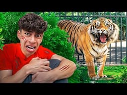 Tiger ATTACKED Ferran on Camera!! (The Royalty Family)