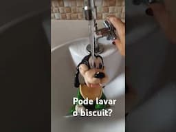 Pode lavar o Biscuit? Sim? Não? Talvez?Leia na legenda